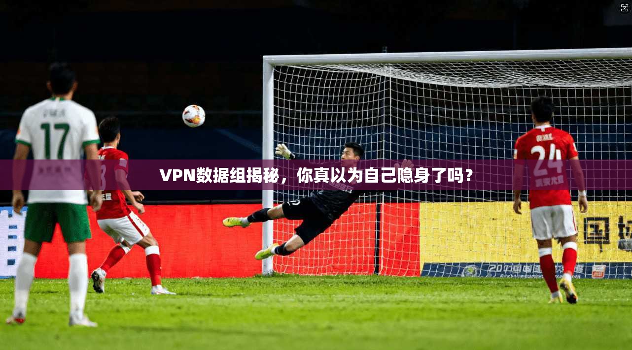VPN数据组揭秘，你真以为自己隐身了吗？