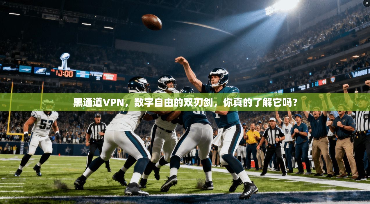 黑通道VPN,数字自由的双刃剑,你真的了解它吗?