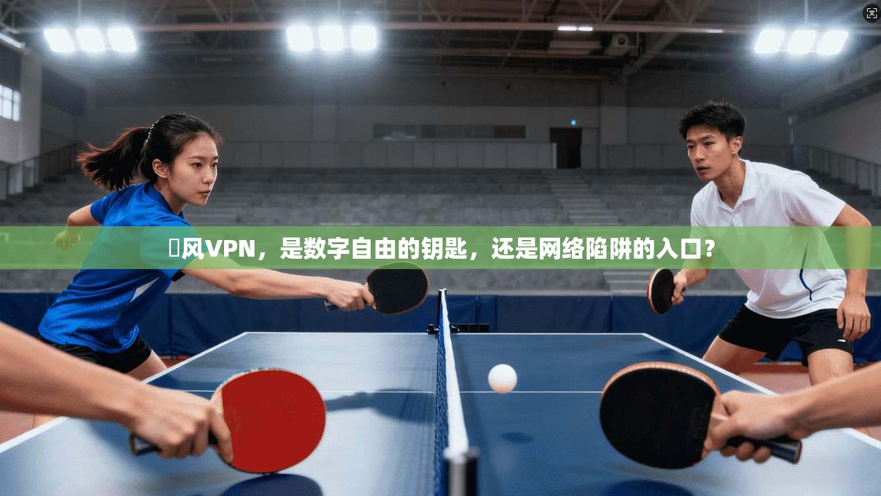 賽风VPN，是数字自由的钥匙，还是网络陷阱的入口？