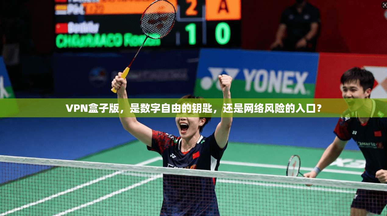 VPN盒子版，是数字自由的钥匙，还是网络风险的入口？