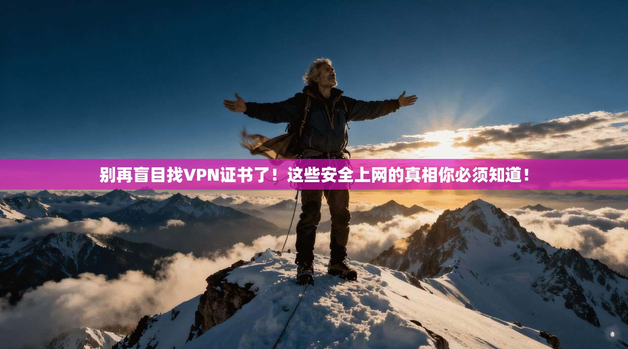 别再盲目找VPN证书了！这些安全上网的真相你必须知道！