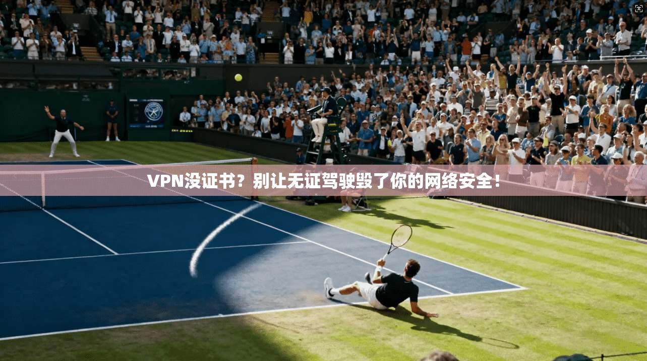 VPN没证书？别让无证驾驶毁了你的网络安全！