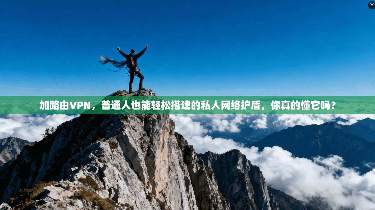 加路由VPN,普通人也能轻松搭建的私人网络护盾,你真的懂它吗?