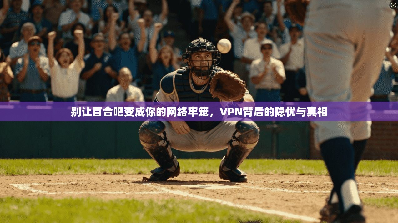 别让百合吧变成你的网络牢笼，VPN背后的隐忧与真相