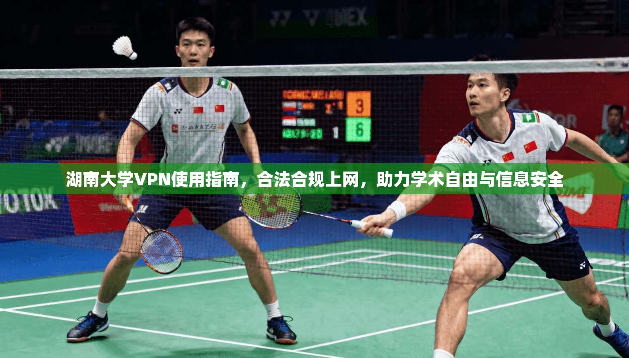 湖南大学VPN使用指南,合法合规上网,助力学术自由与信息安全