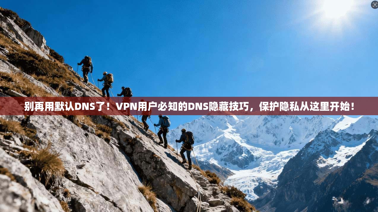 别再用默认DNS了!VPN用户必知的DNS隐藏技巧,保护隐私从这里开始!