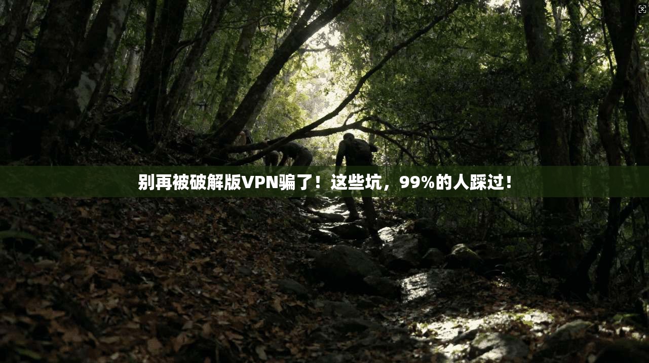 别再被破解版VPN骗了!这些坑,99%的人踩过!