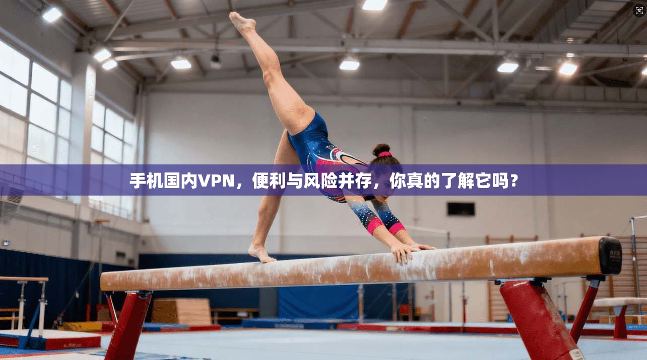手机国内VPN，便利与风险并存，你真的了解它吗？