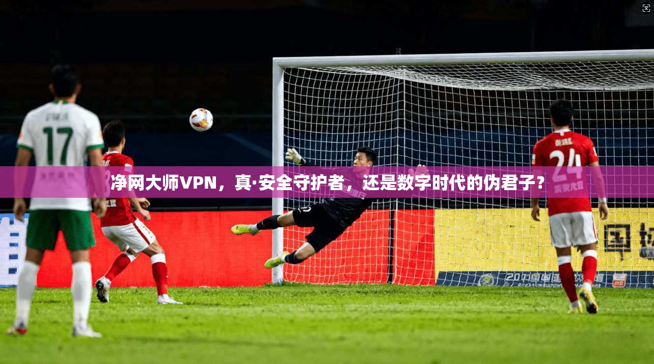 净网大师VPN，真·安全守护者，还是数字时代的伪君子？
