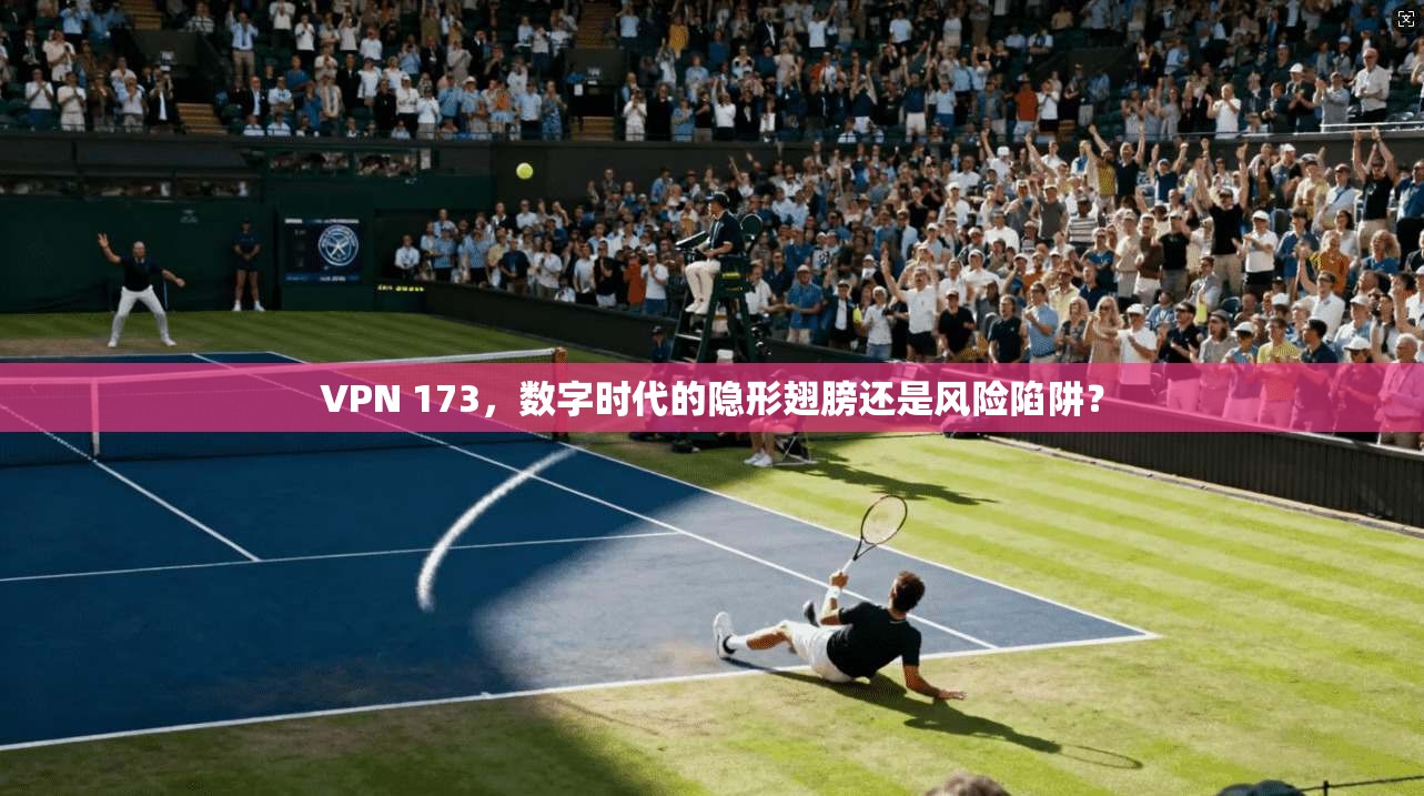 VPN 173，数字时代的隐形翅膀还是风险陷阱？