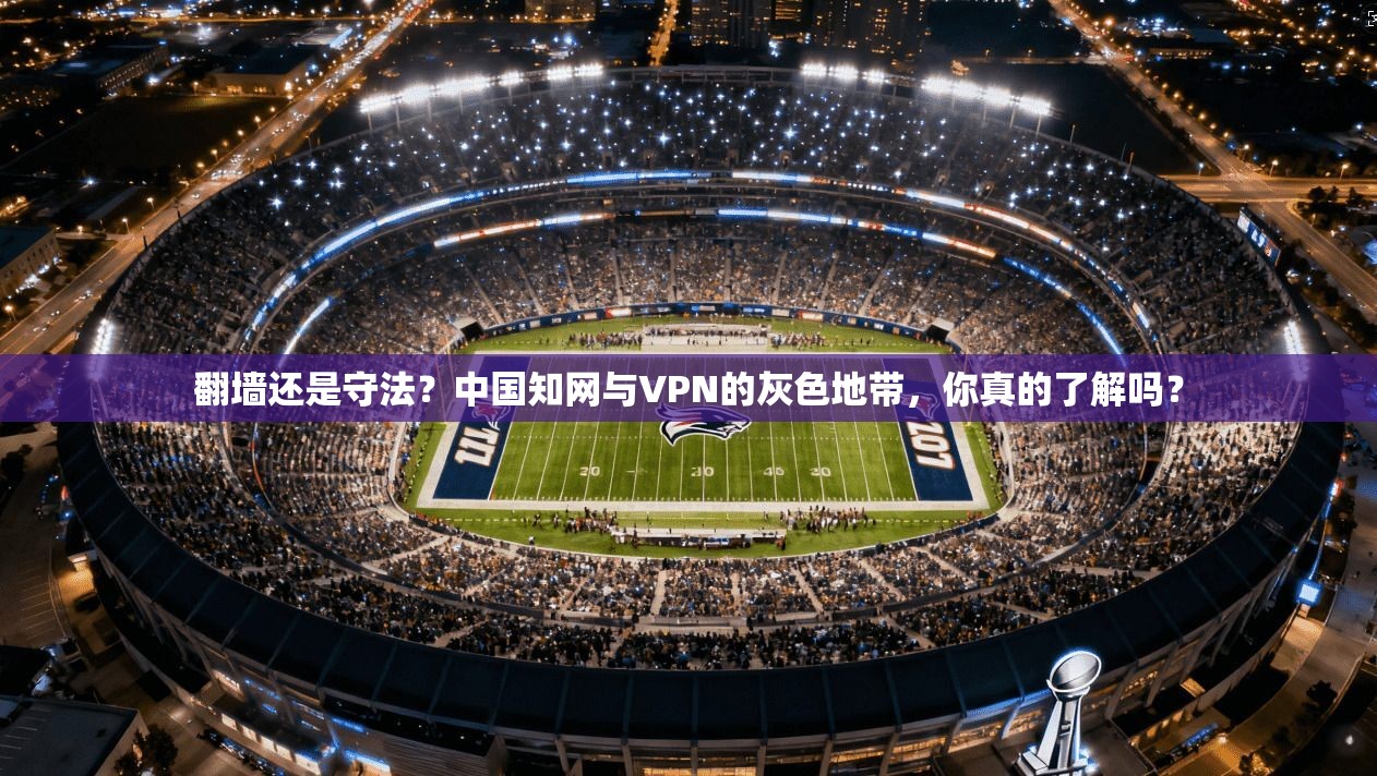 翻墙还是守法？中国知网与VPN的灰色地带，你真的了解吗？