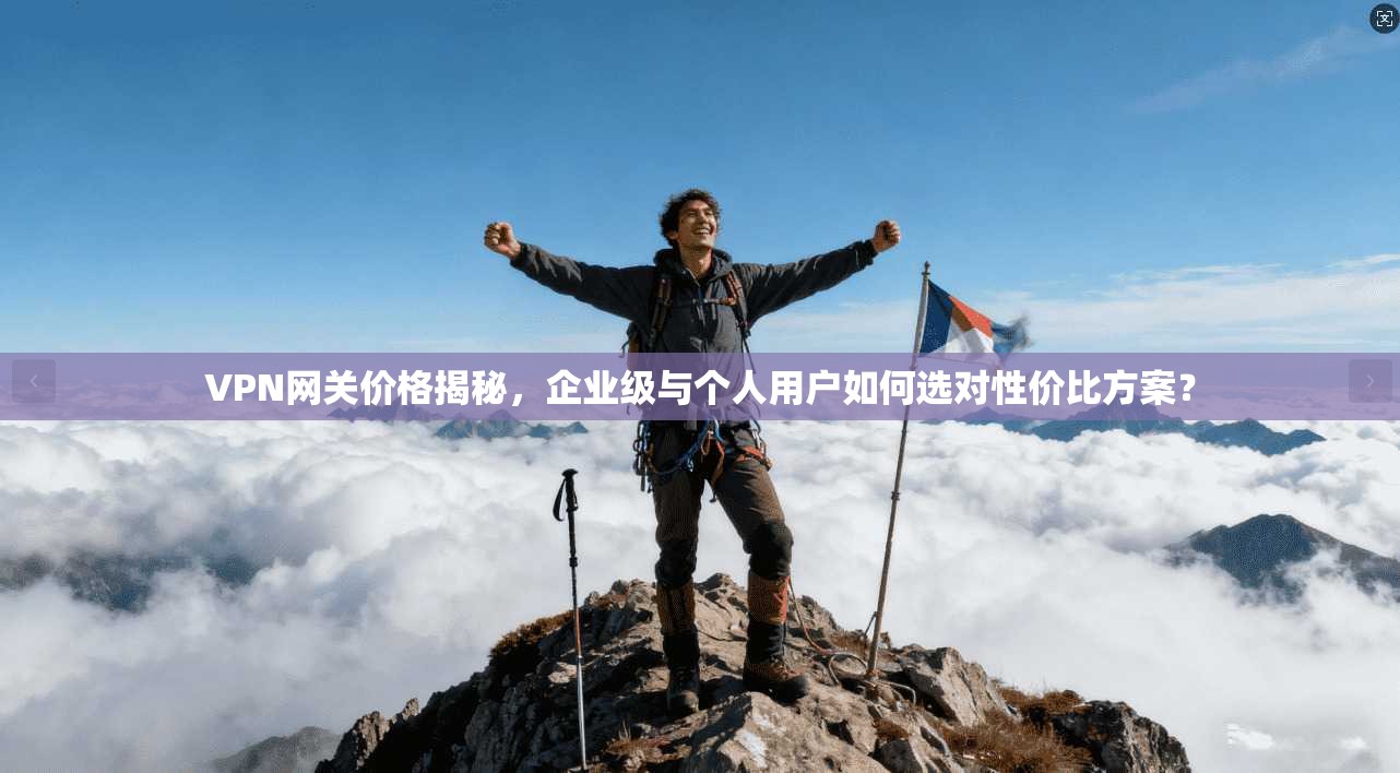 VPN网关价格揭秘，企业级与个人用户如何选对性价比方案？