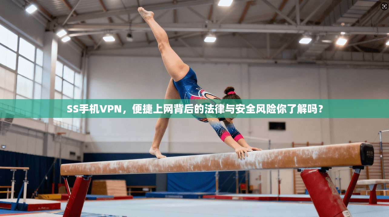 SS手机VPN，便捷上网背后的法律与安全风险你了解吗？