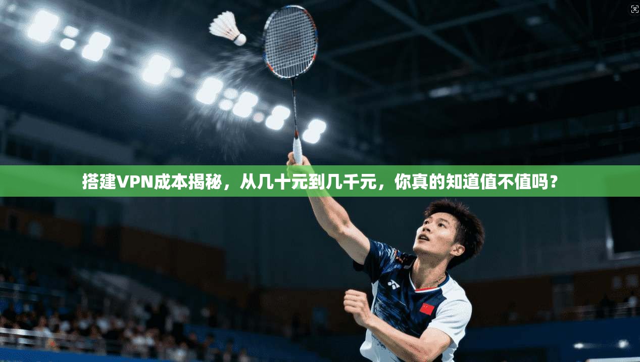 搭建VPN成本揭秘，从几十元到几千元，你真的知道值不值吗？