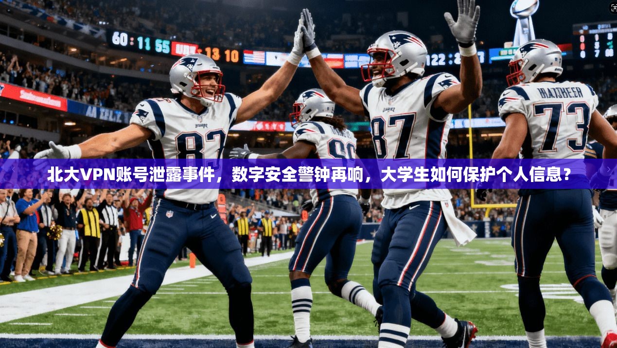 北大VPN账号泄露事件，数字安全警钟再响，大学生如何保护个人信息？