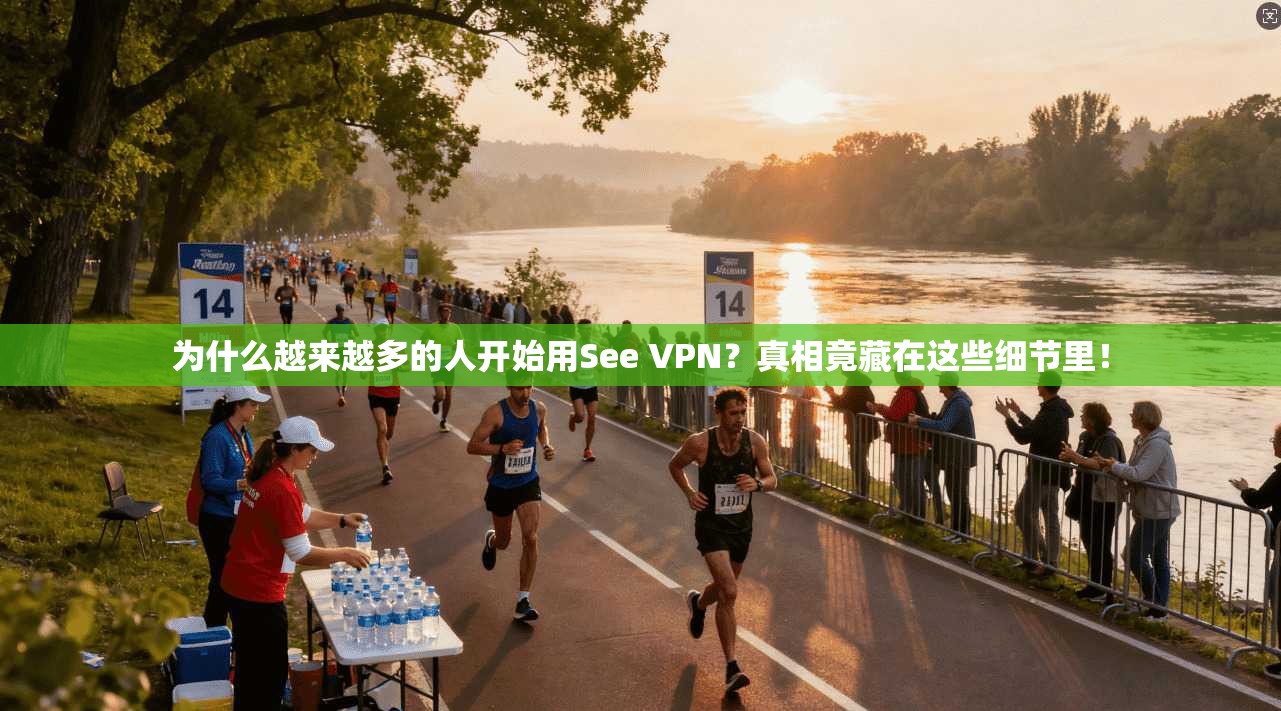 为什么越来越多的人开始用See VPN?真相竟藏在这些细节里!