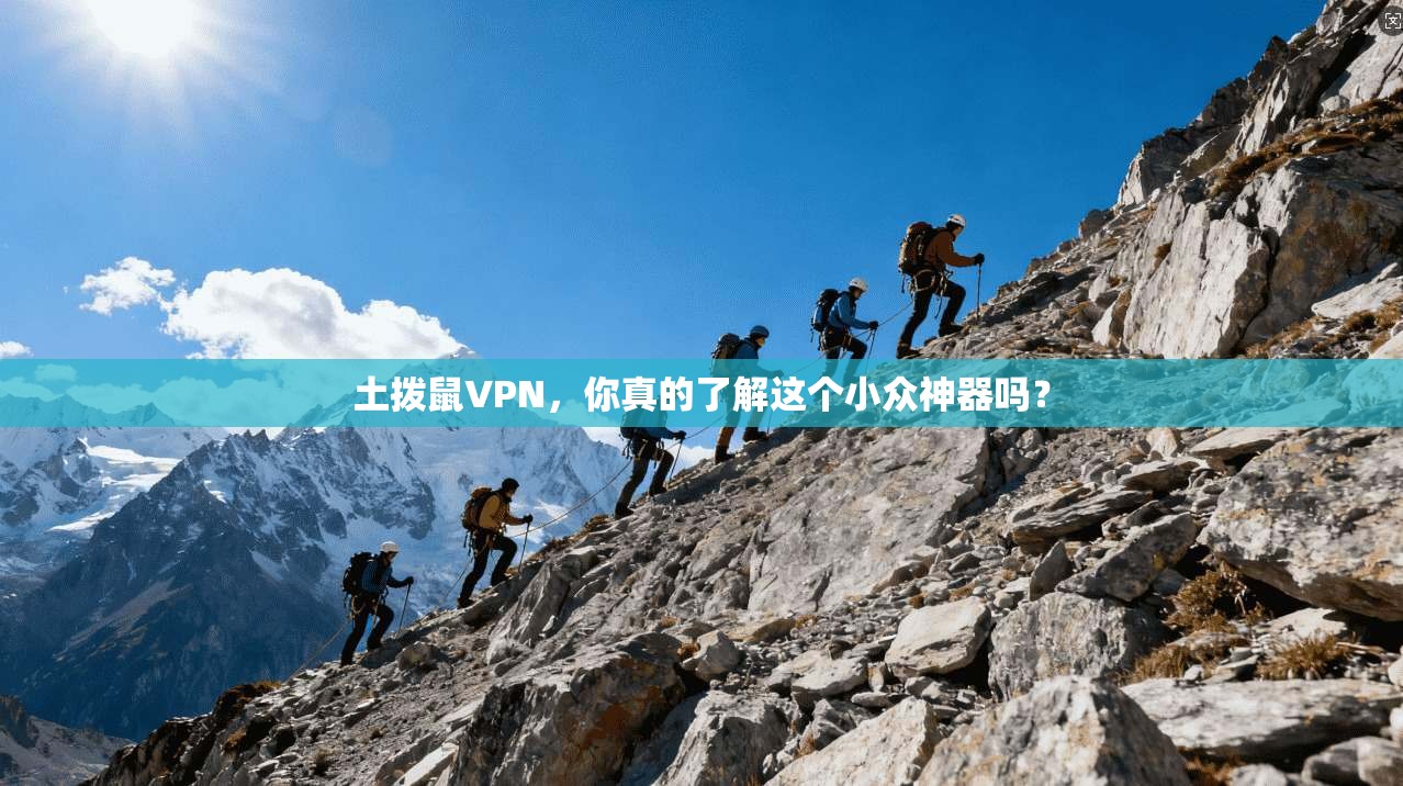 土拨鼠VPN，你真的了解这个小众神器吗？