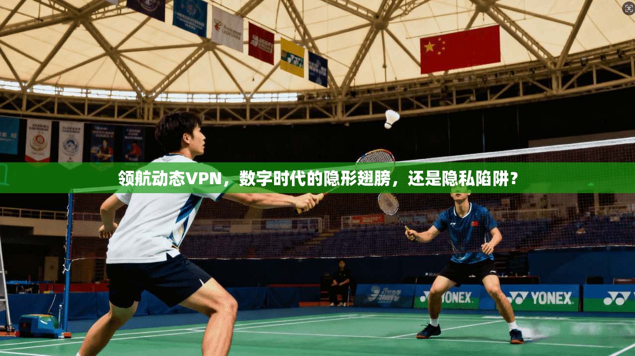 领航动态VPN，数字时代的隐形翅膀，还是隐私陷阱？