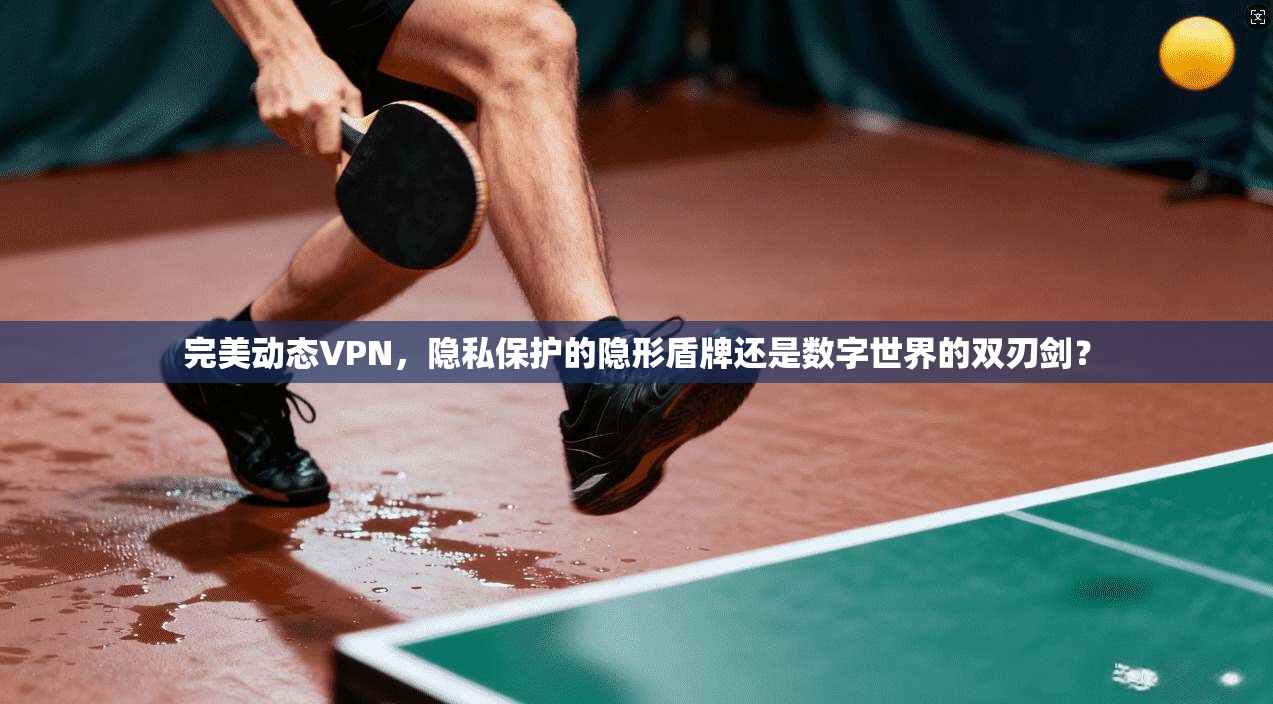 完美动态VPN,隐私保护的隐形盾牌还是数字世界的双刃剑?