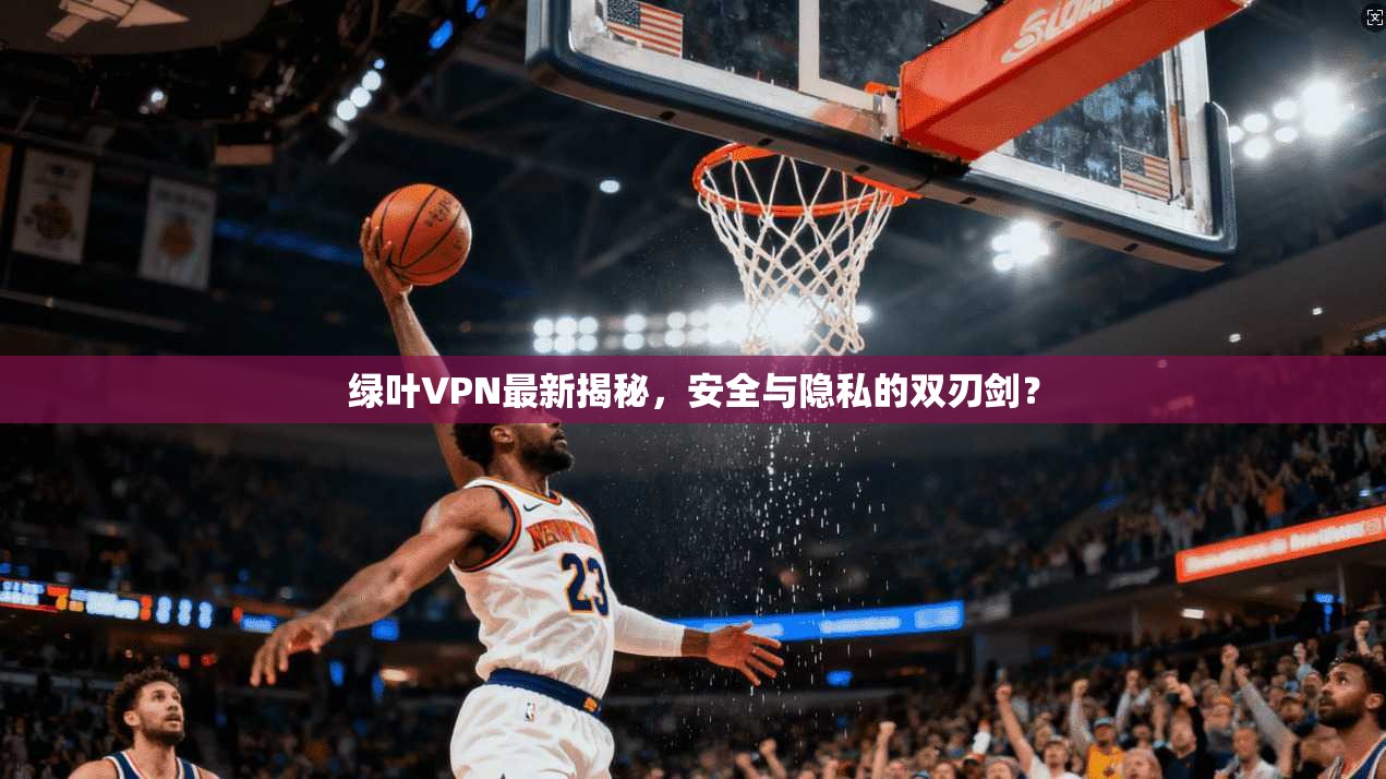 绿叶VPN最新揭秘，安全与隐私的双刃剑？