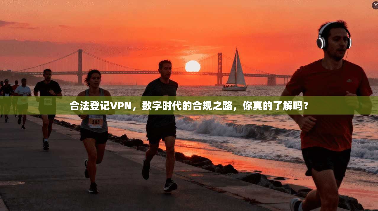 合法登记VPN,数字时代的合规之路,你真的了解吗?