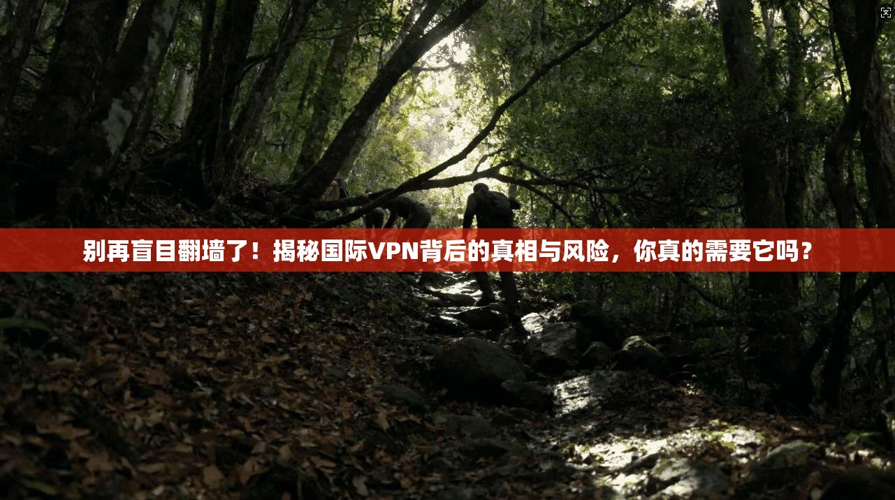 别再盲目翻墙了！揭秘国际VPN背后的真相与风险，你真的需要它吗？