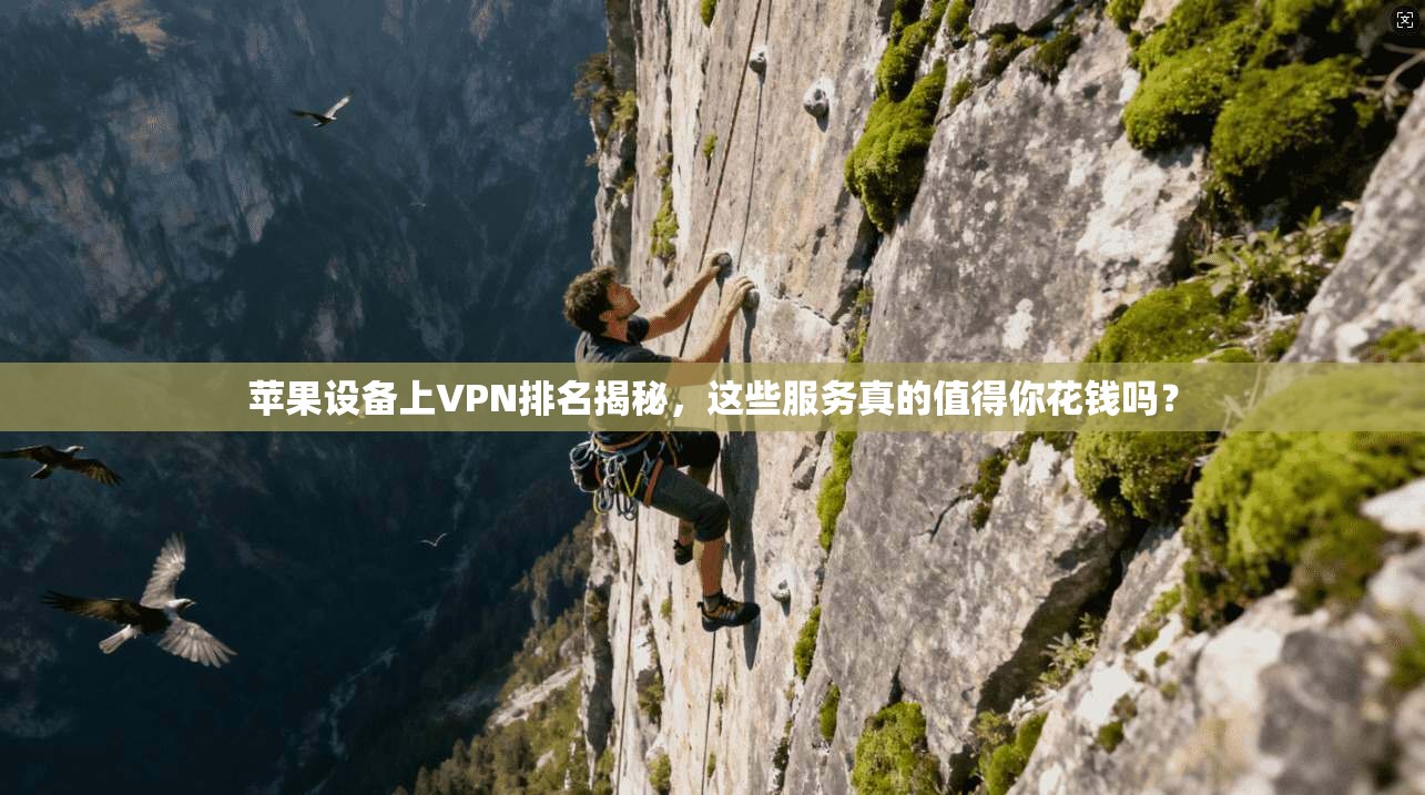苹果设备上VPN排名揭秘，这些服务真的值得你花钱吗？