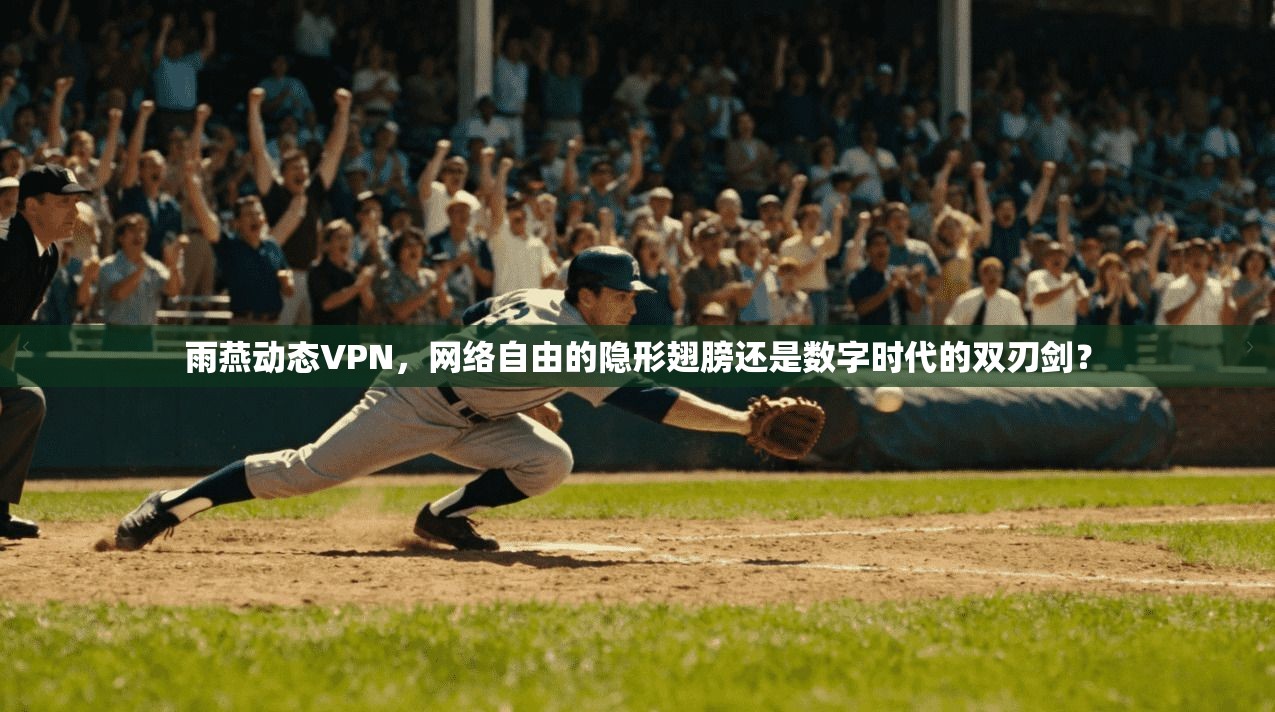 雨燕动态VPN,网络自由的隐形翅膀还是数字时代的双刃剑?