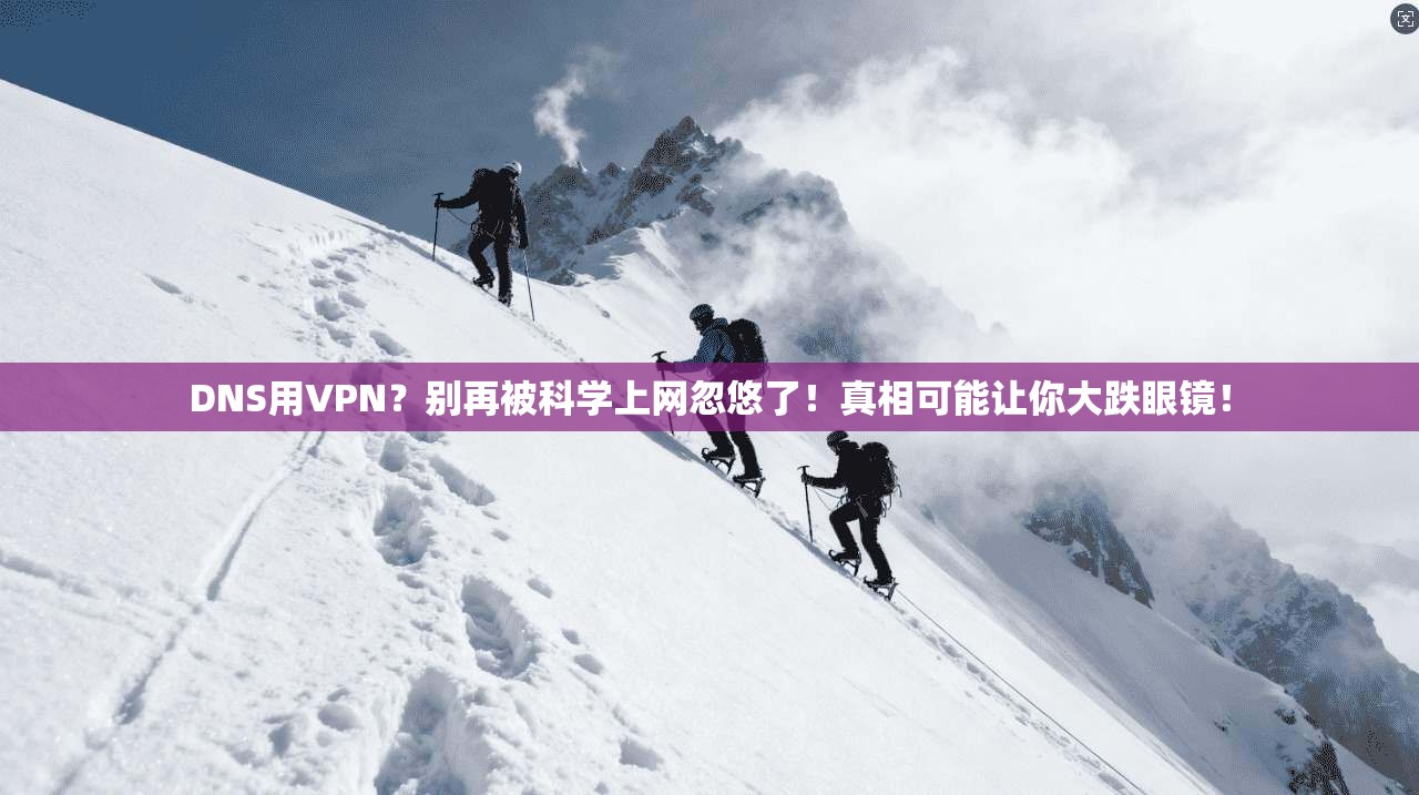 DNS用VPN？别再被科学上网忽悠了！真相可能让你大跌眼镜！