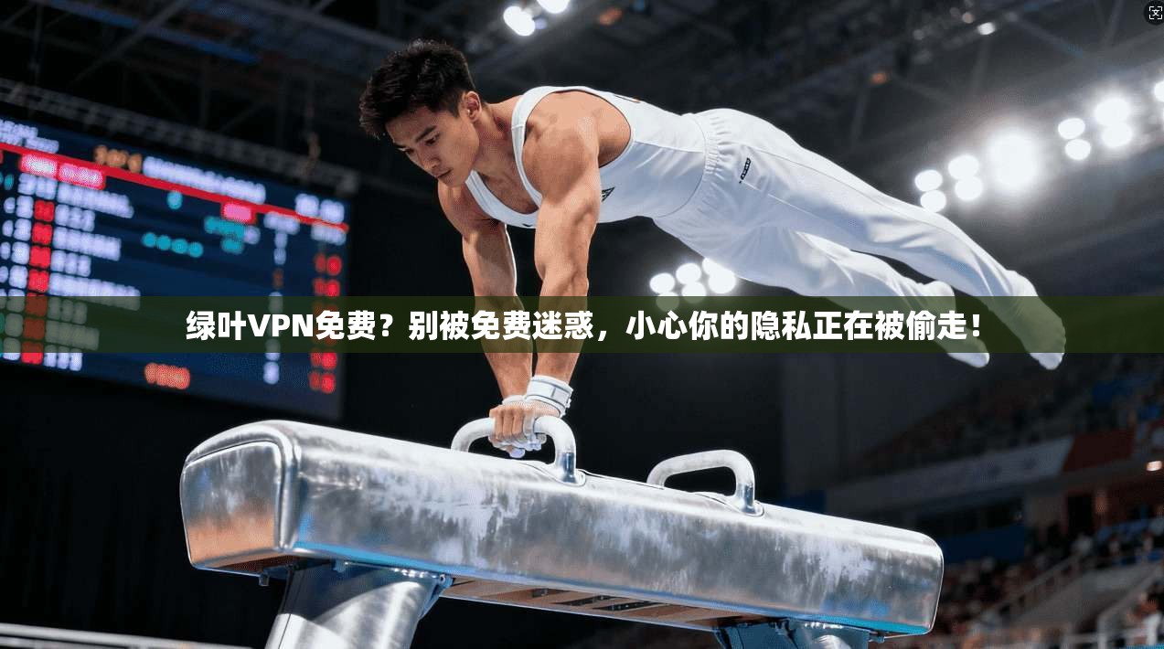 绿叶VPN免费？别被免费迷惑，小心你的隐私正在被偷走！