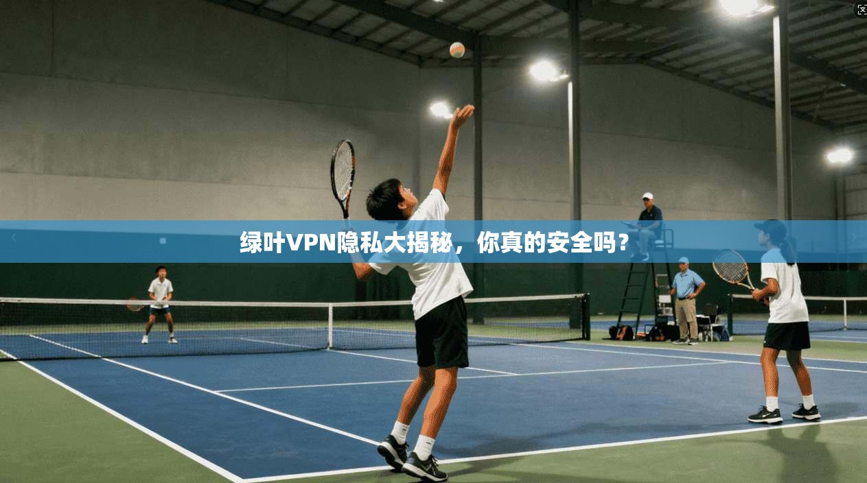 绿叶VPN隐私大揭秘，你真的安全吗？