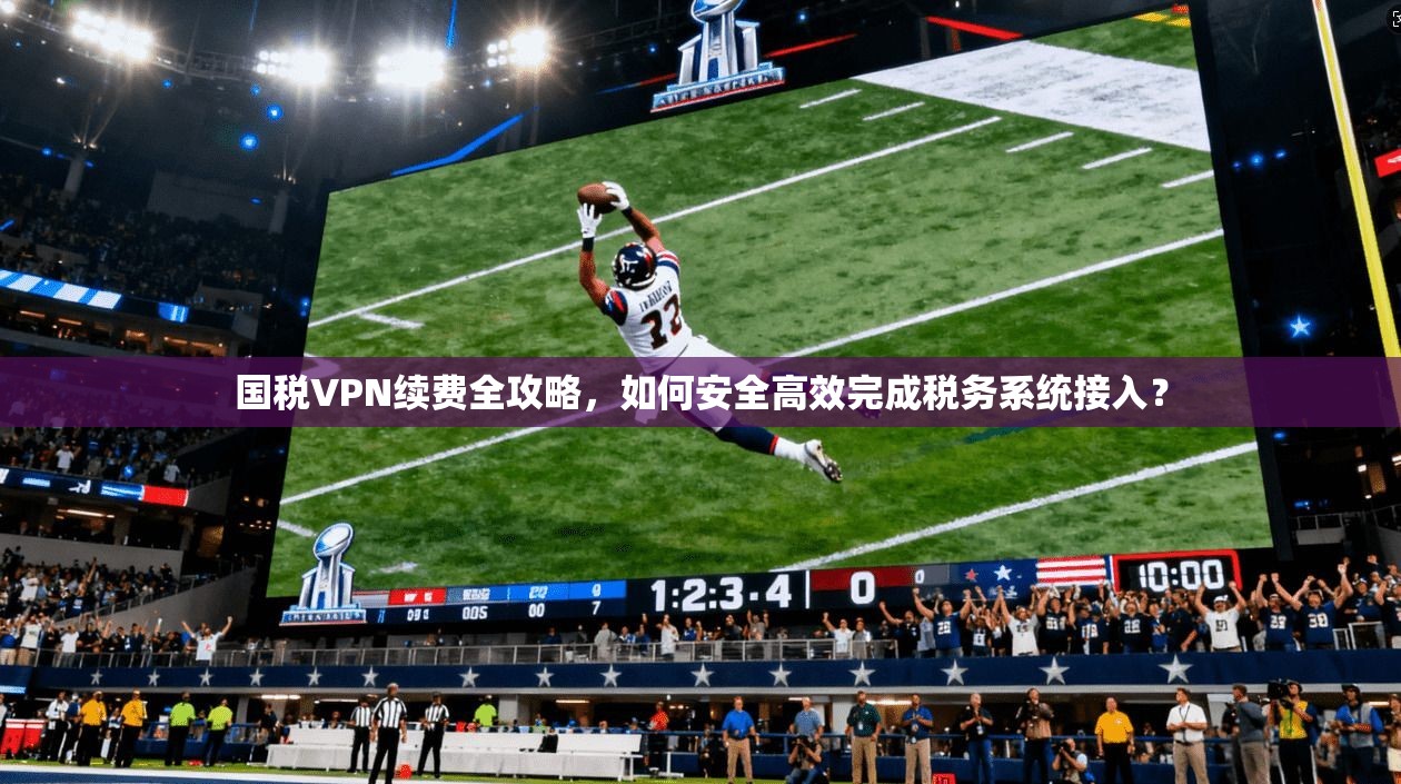 国税VPN续费全攻略,如何安全高效完成税务系统接入?