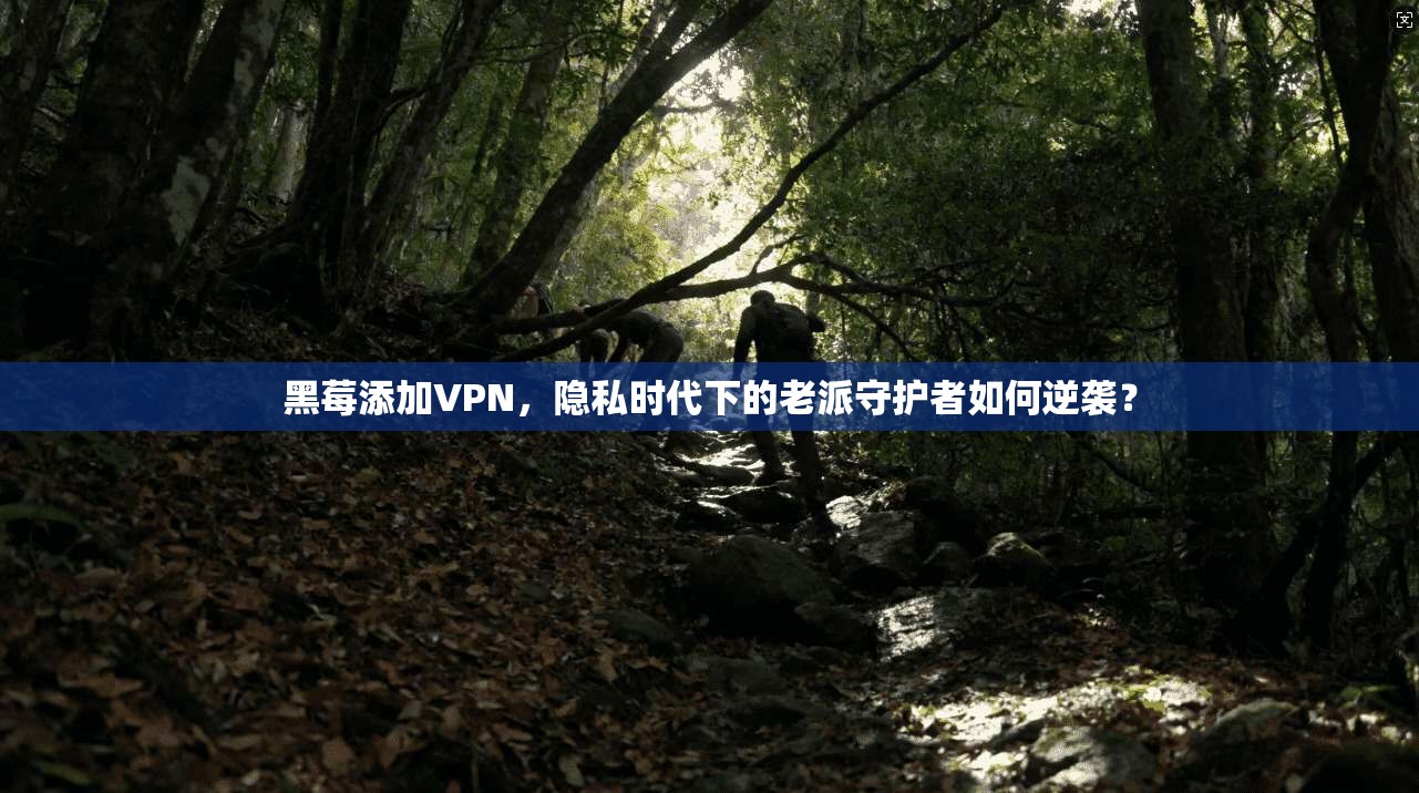 黑莓添加VPN，隐私时代下的老派守护者如何逆袭？
