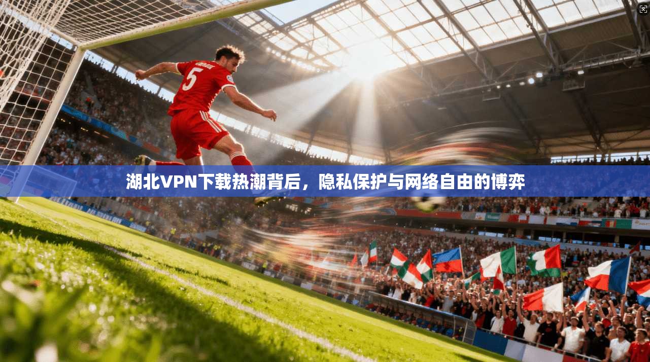 湖北VPN下载热潮背后，隐私保护与网络自由的博弈