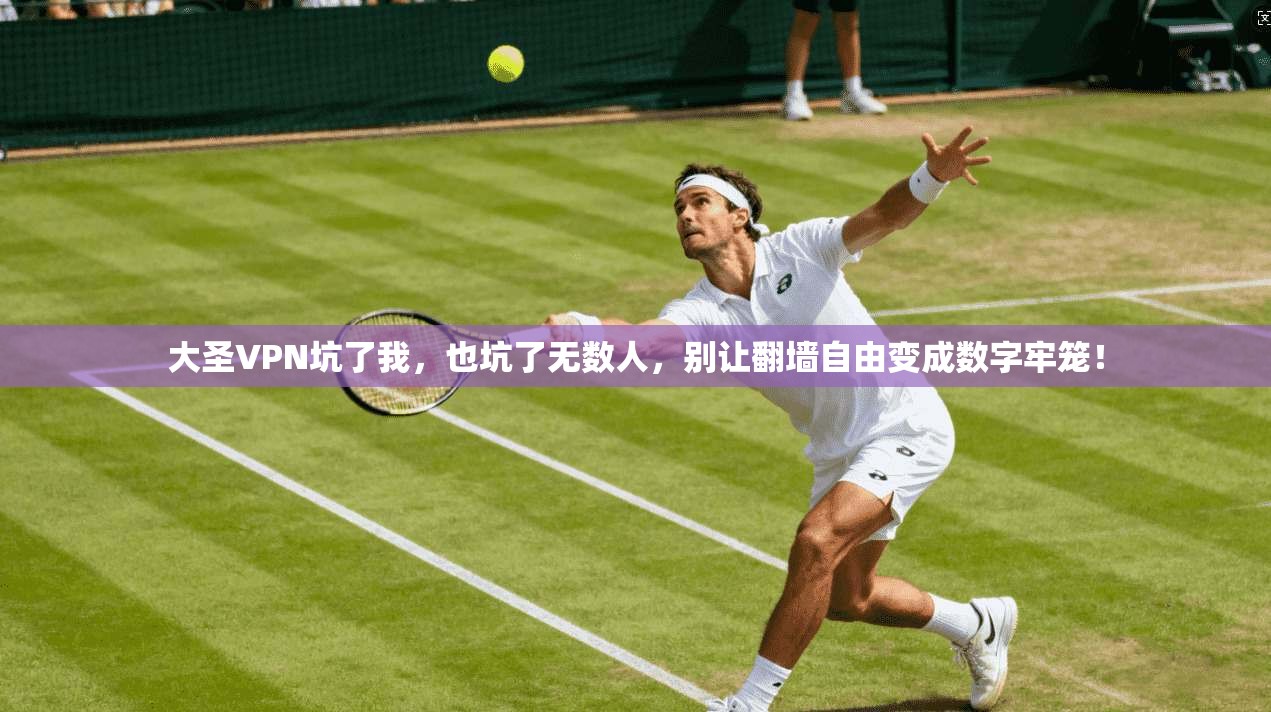 大圣VPN坑了我，也坑了无数人，别让翻墙自由变成数字牢笼！