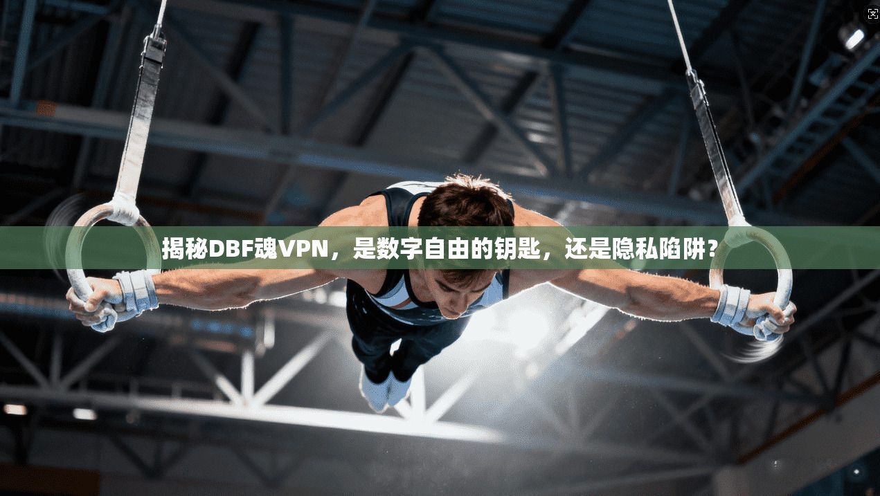 揭秘DBF魂VPN，是数字自由的钥匙，还是隐私陷阱？