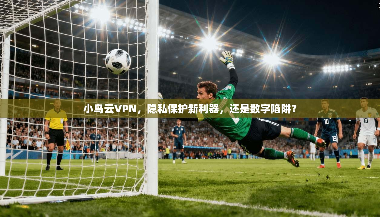 小鸟云VPN，隐私保护新利器，还是数字陷阱？