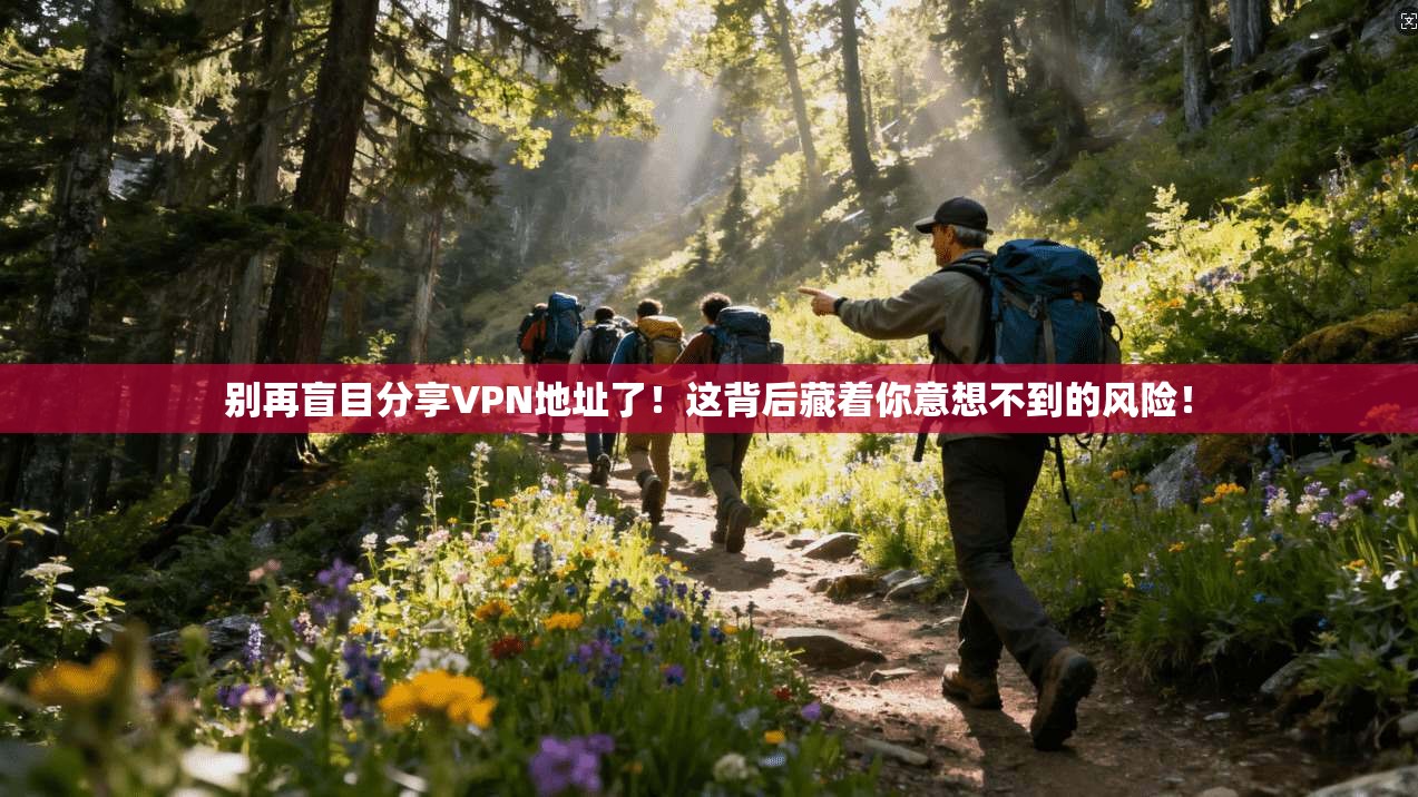 别再盲目分享VPN地址了！这背后藏着你意想不到的风险！