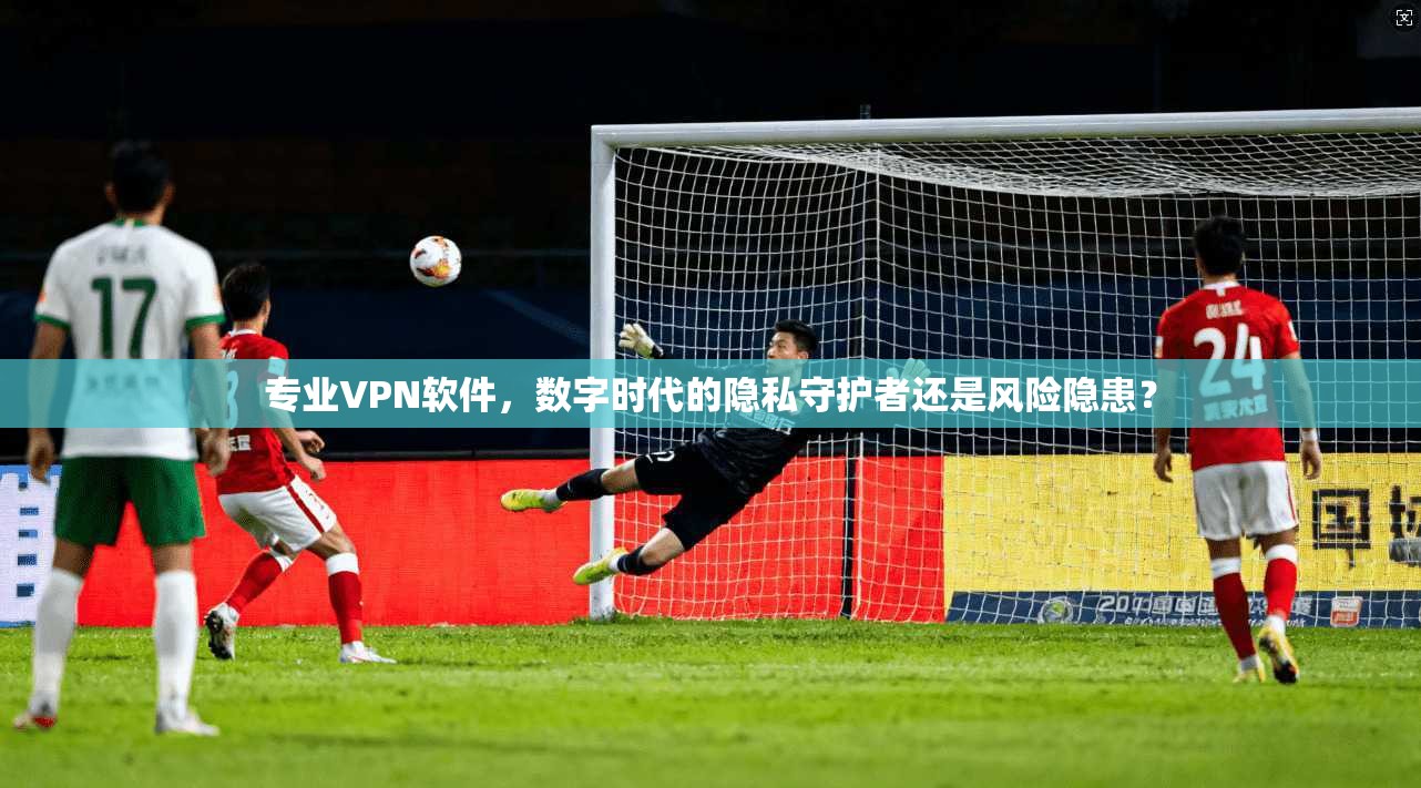 专业VPN软件，数字时代的隐私守护者还是风险隐患？