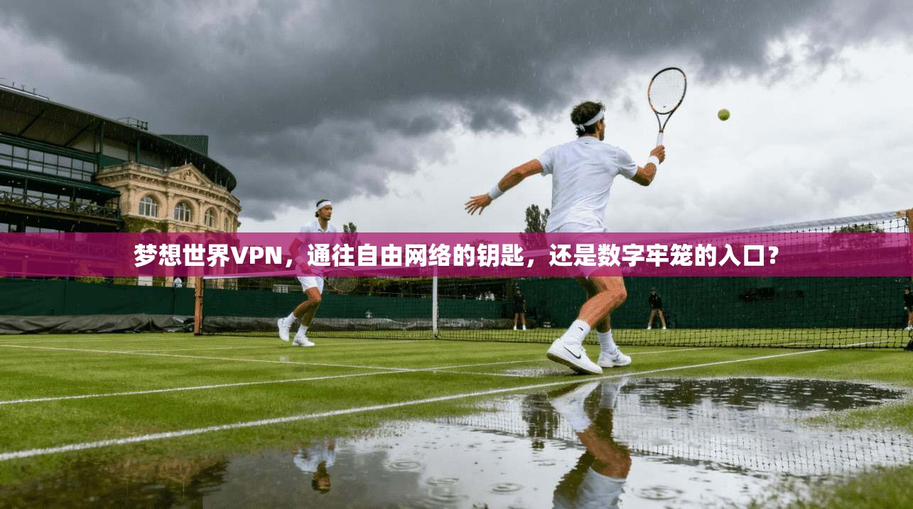 梦想世界VPN，通往自由网络的钥匙，还是数字牢笼的入口？