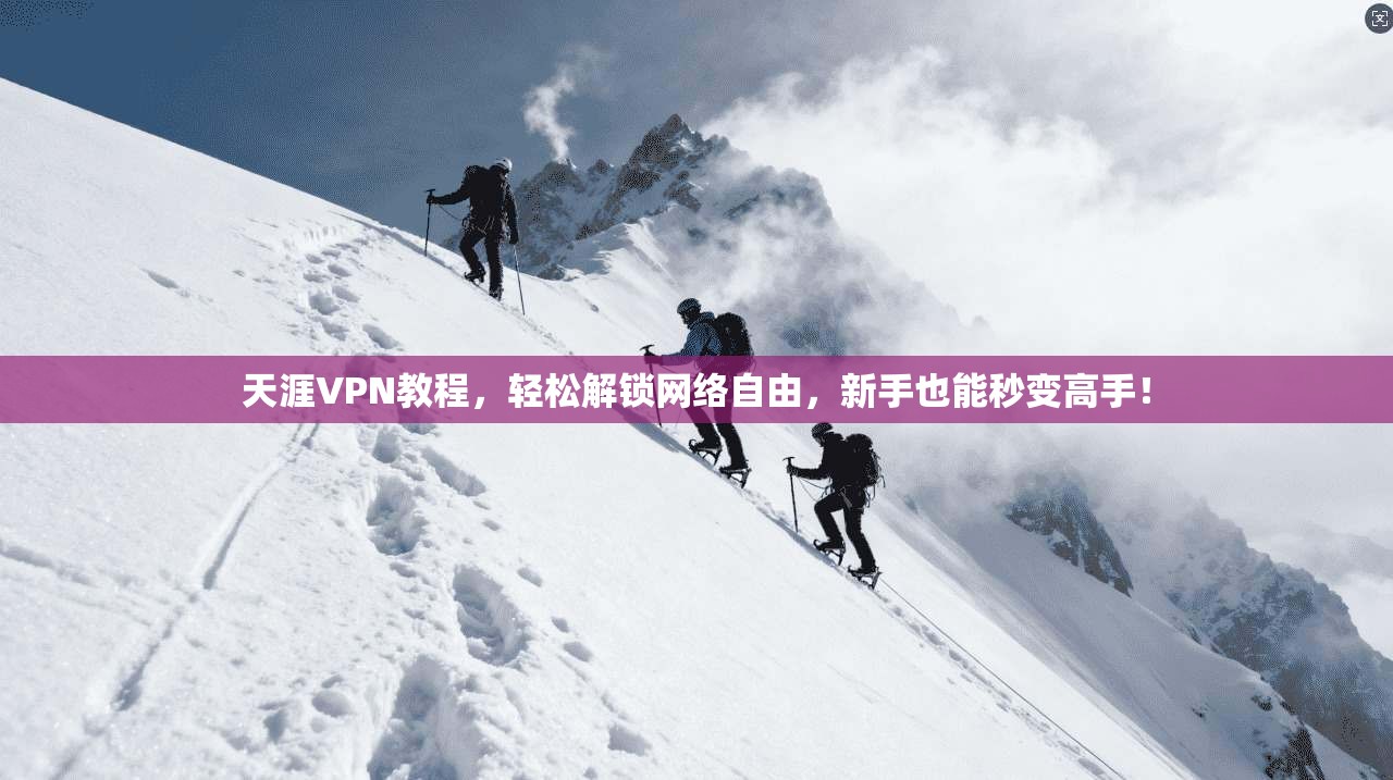 天涯VPN教程,轻松解锁网络自由,新手也能秒变高手!