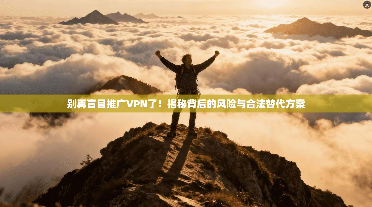 别再盲目推广VPN了！揭秘背后的风险与合法替代方案