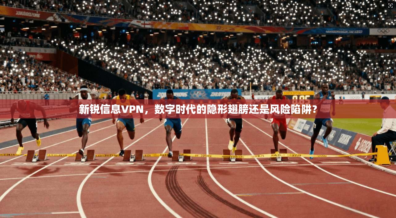 新锐信息VPN，数字时代的隐形翅膀还是风险陷阱？