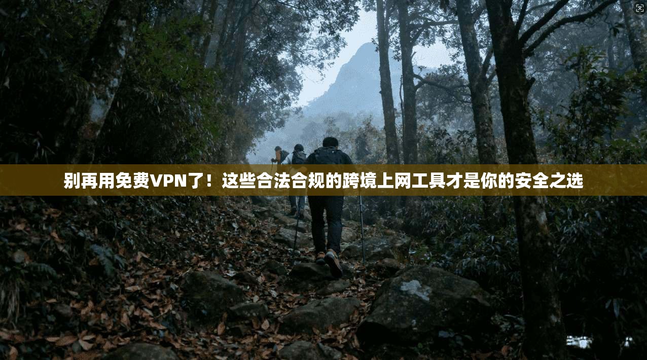 别再用免费VPN了！这些合法合规的跨境上网工具才是你的安全之选