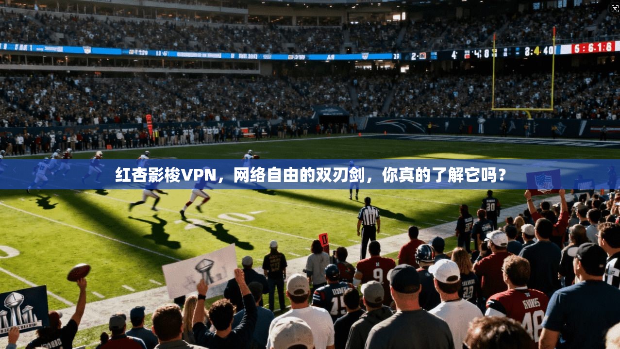 红杏影梭VPN,网络自由的双刃剑,你真的了解它吗?
