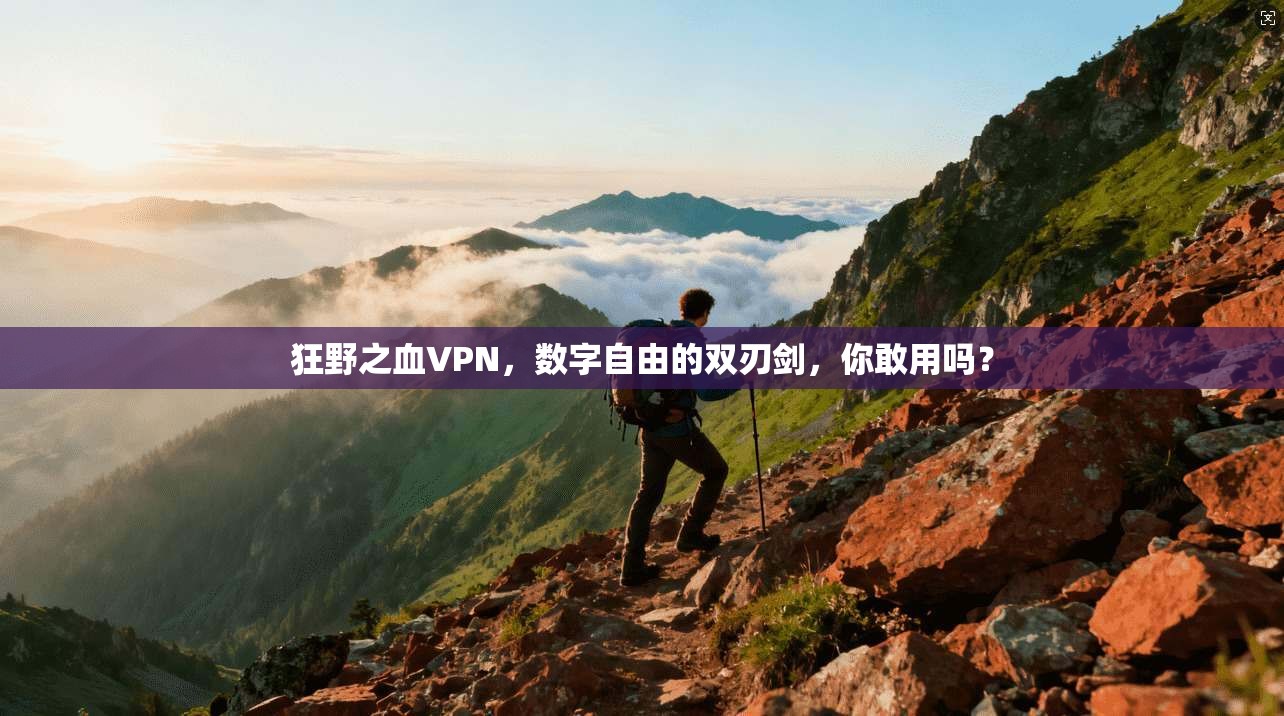 狂野之血VPN,数字自由的双刃剑,你敢用吗?