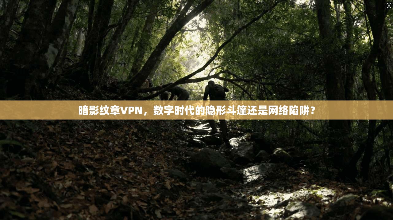 暗影纹章VPN，数字时代的隐形斗篷还是网络陷阱？