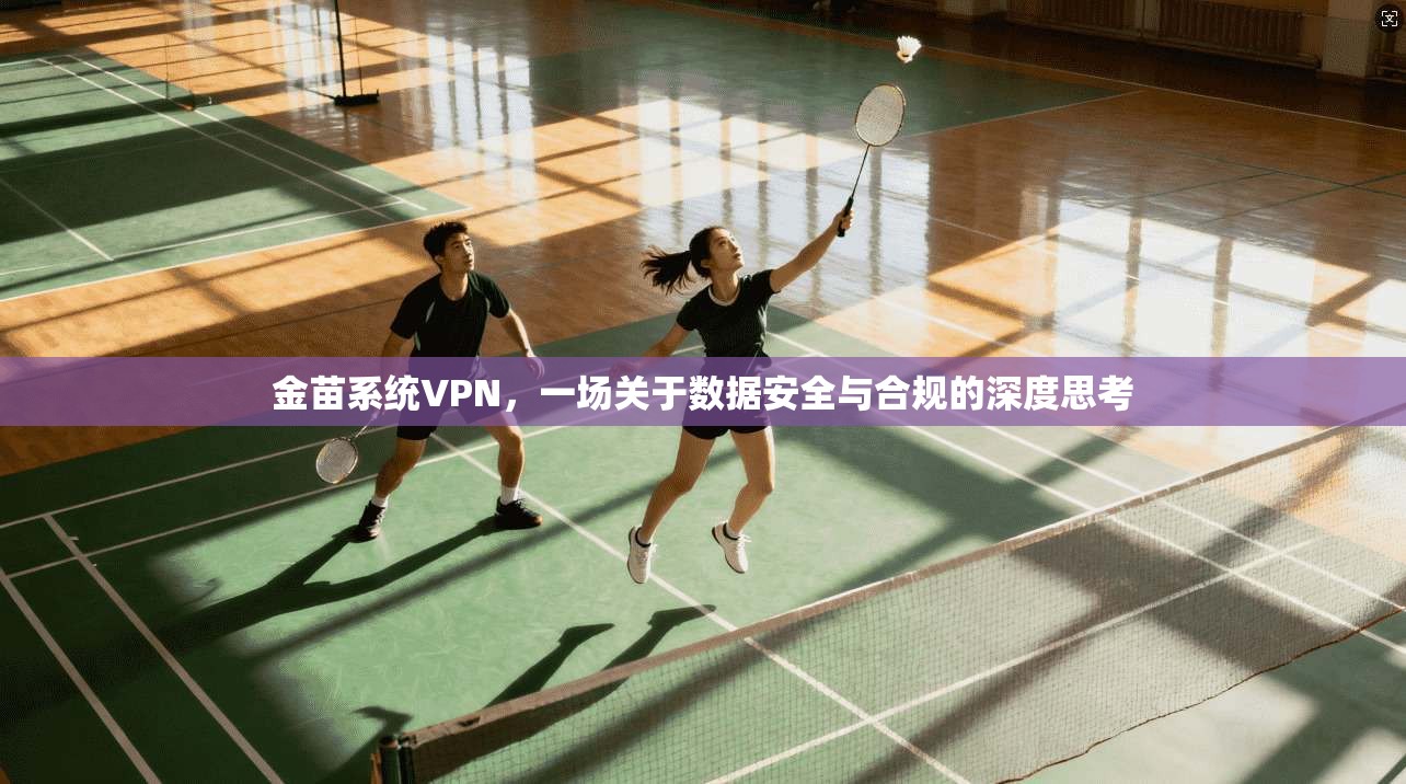 金苗系统VPN，一场关于数据安全与合规的深度思考