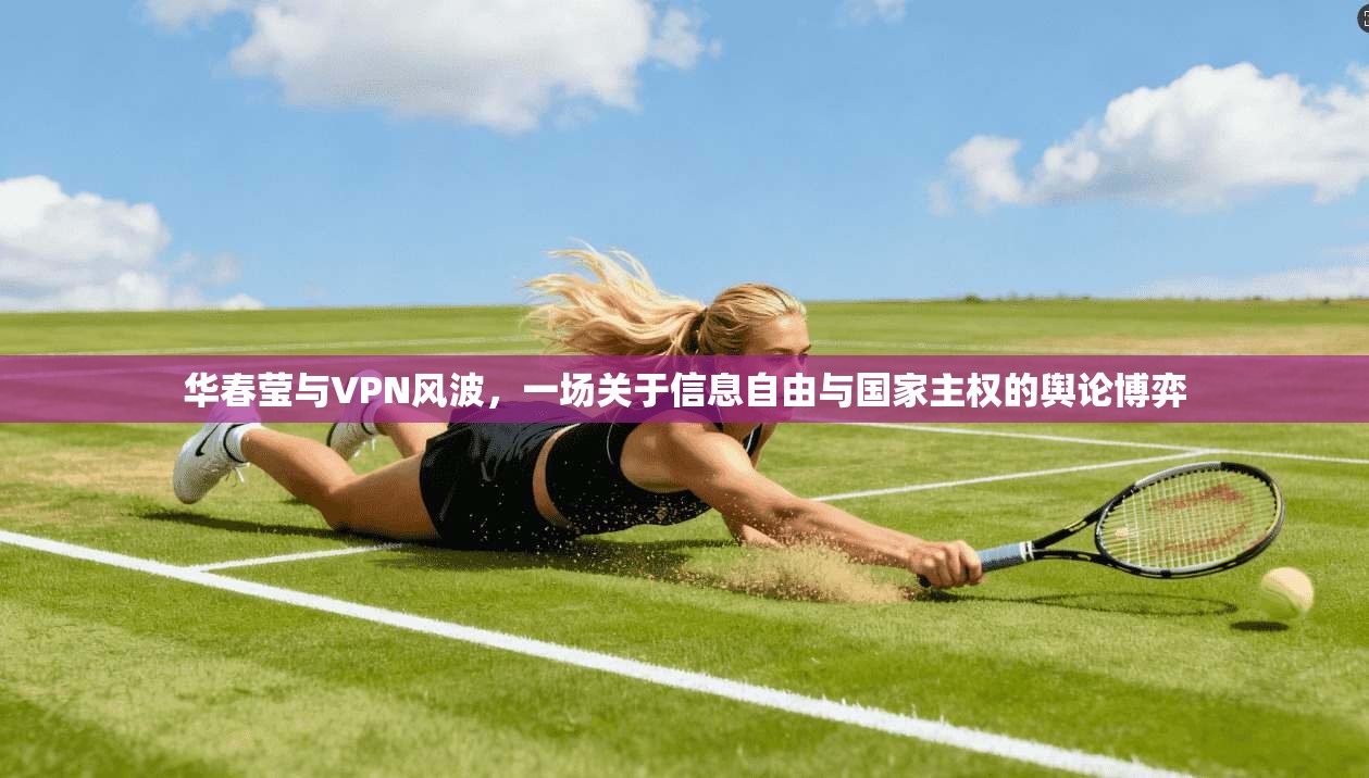 华春莹与VPN风波，一场关于信息自由与国家主权的舆论博弈