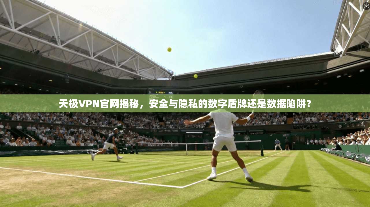 天极VPN官网揭秘，安全与隐私的数字盾牌还是数据陷阱？